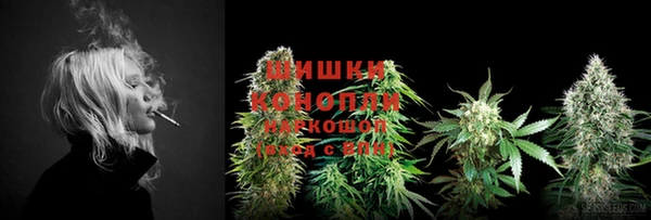 прущие крисы Ельня