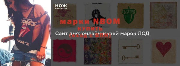 прущие крисы Ельня