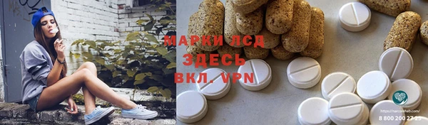 прущие крисы Ельня