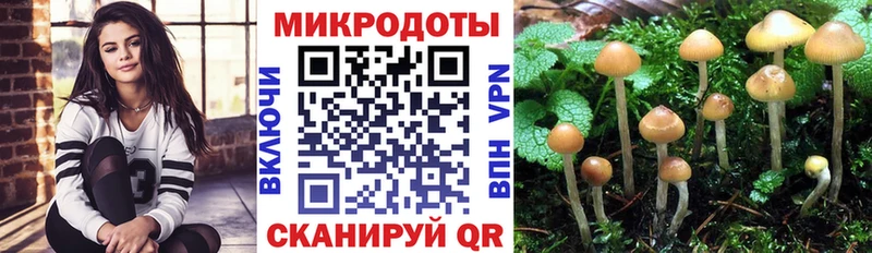 Галлюциногенные грибы прущие грибы  Домодедово 